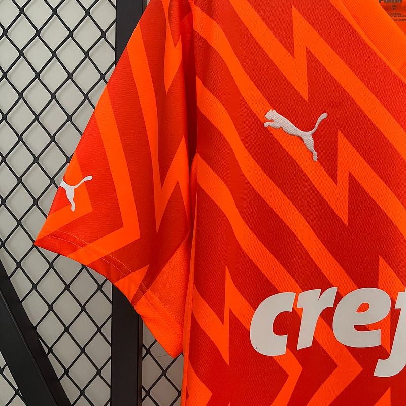 Palmeiras 2024-2025 goalkeeper - Image 7