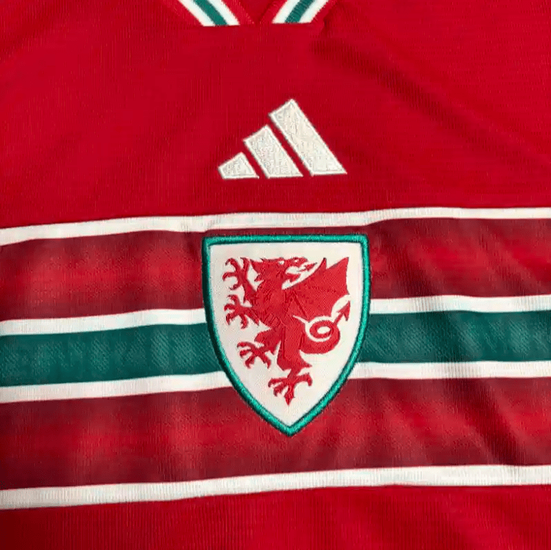 2026 World Cup Kids Wales Soccer Jersey Home - Image 7